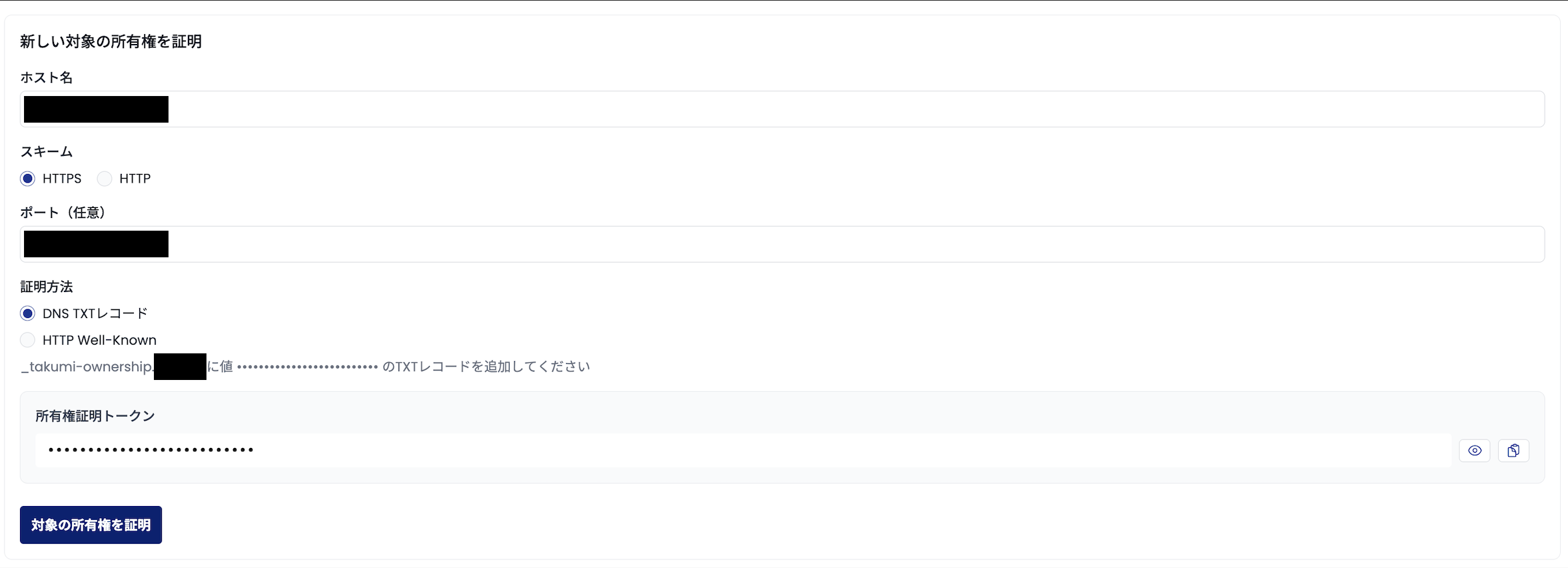 DNS Verification Process